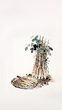 Premium yam for daily light nourishment 2