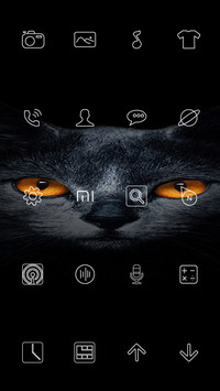 黑猫睁眼
