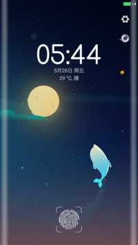 夜の海豚