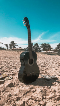 Guitar