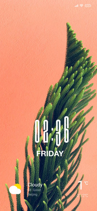 Plant Leaf
