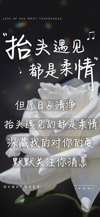 抬头遇见都是柔情