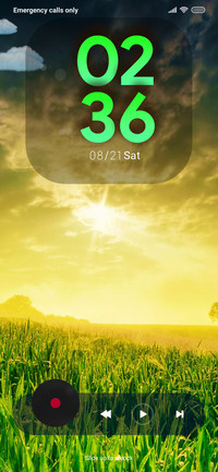 Sunny day On
