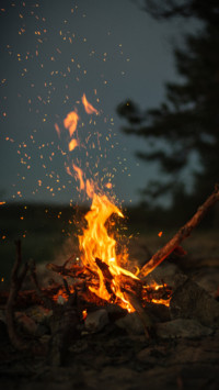 Fire (15)