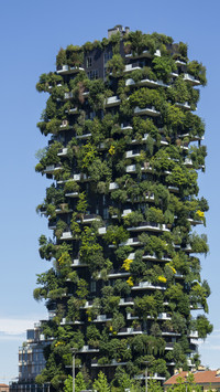 Vertical garden 27