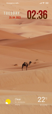 desert camel