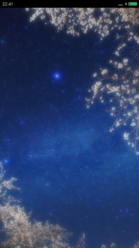 繁花