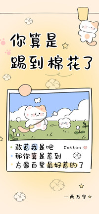 你算是踢到棉花了