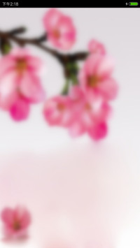 韵春桃