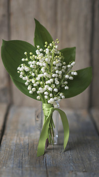 What are the national flowers of various countries 61