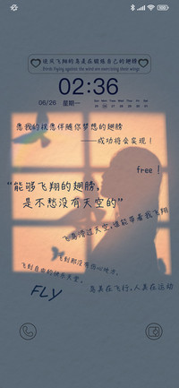 逆光飞翔