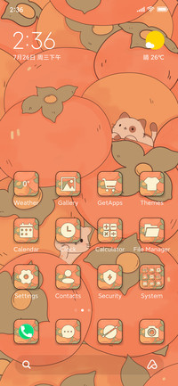 Meow persimmon