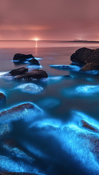 Blue tears