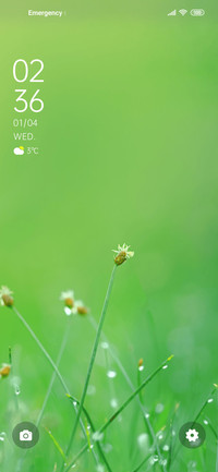 Spring spring