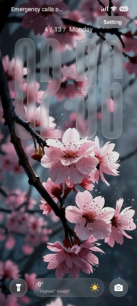 Lovely HOS3