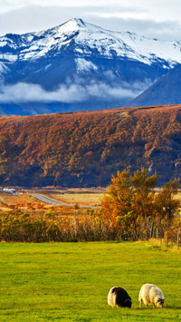 How should one choose for domestic mountain climbing