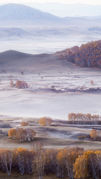 White dew condenses like frost, the autumn mood is strong