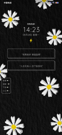 雏菊假日