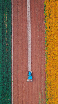People and flowers are beautiful together 75