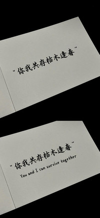 你我共存枯木逢春