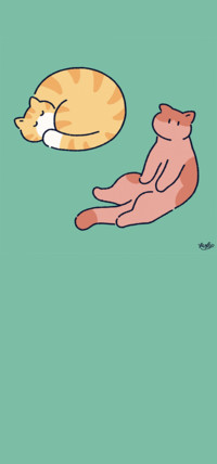 慵懒的猫