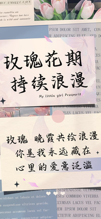 玫瑰花期持续浪漫