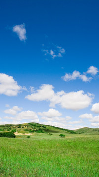 Mongolian grasslands