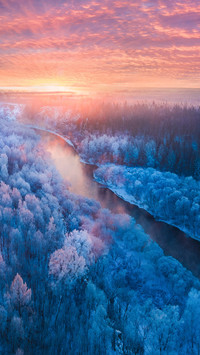 The morning light on the snowy plains reflects on the forest
