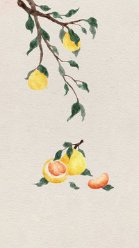 Pomelo helps digestion so dont be too fancy
