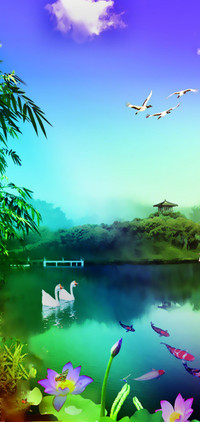 西湖  动态