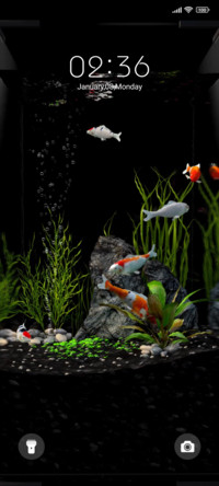 Aquarium