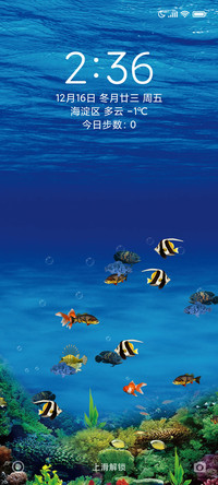 水族馆