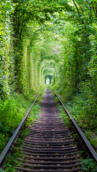 Love tunnel
