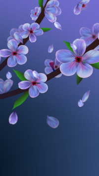 那年花开