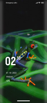 Prince_Frog