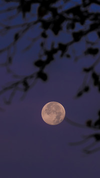 LANDSCAPE_PRAPTURE (4)