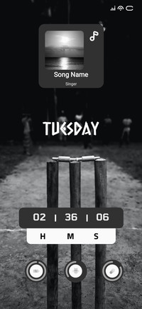 Night Cricket