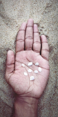 Shells