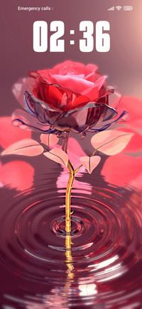 Rose