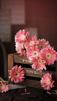 Flowers are a necessity for a good life