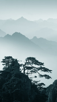 卧谷听松