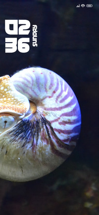Aquatic