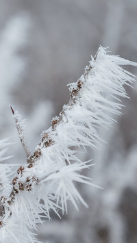 Winter scenery-03