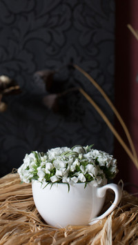 杯中芬芳