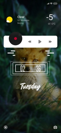Jungle5