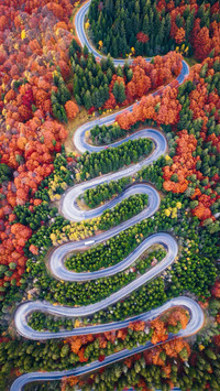 Spiral Road, Autumn's Invitation to Explore