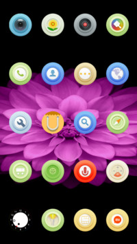 iOS Leader