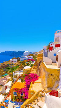 Colorful Harbor