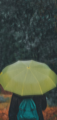 雨森Rain