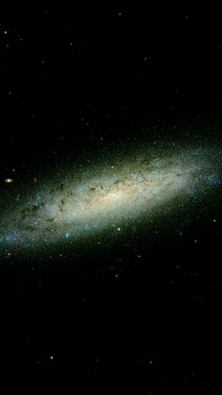 辽宁大学-彭紫宸-参赛-《天文爱好者系列》之孤独星系